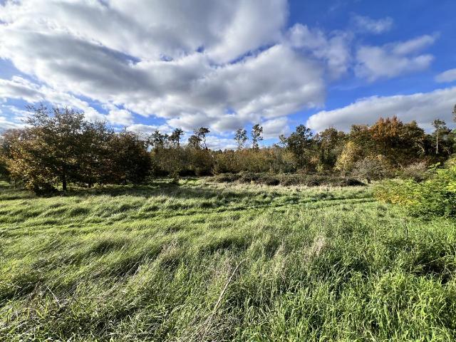 Terrain à bâtir à vendre à Noyers sur Cher 41140