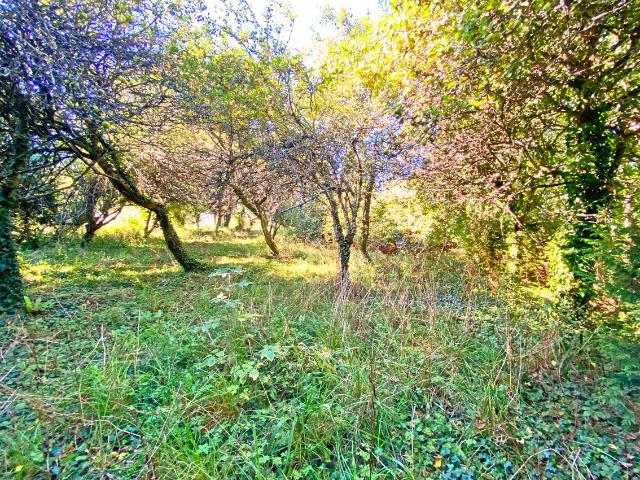 Terrain à bâtir à vendre à Plougastel Daoulas 29470