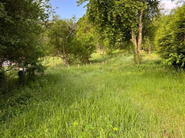 Terrain à bâtir à vendre à Quincey 70000