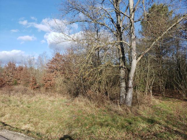 Terrain à bâtir à vendre à Romorantin Lanthenay 41200