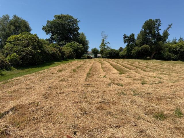 Terrain à bâtir à vendre à Scaër 29390