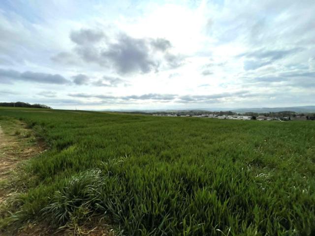 Terrain à bâtir à vendre à Saint Vit 25410