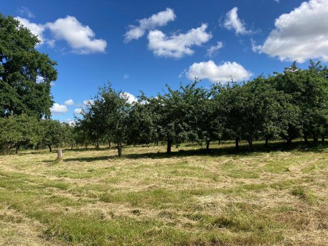 Terrain à bâtir à vendre à Saint Germain sur Sarthe 72130