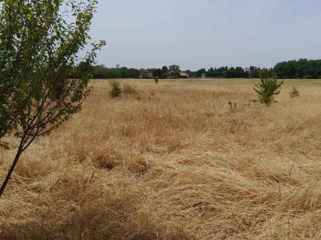 Terrain à bâtir à vendre à Saint Jean de Sauves 86330