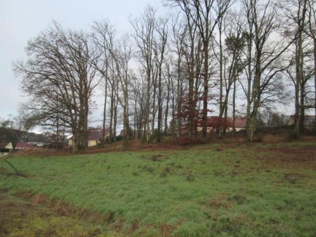 Terrain à bâtir à vendre à Saint Julien sur Cher 41320