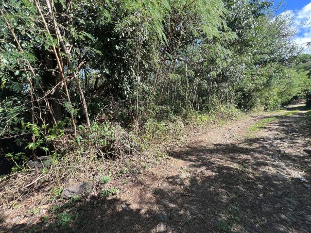 Terrain à bâtir à vendre à Saint Louis 97450