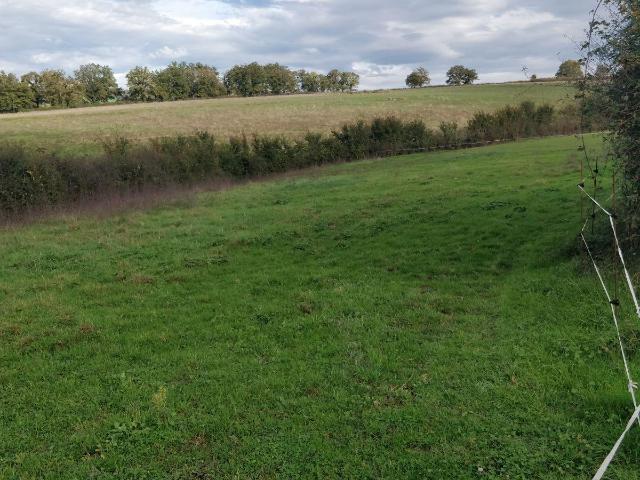 Terrain à bâtir à vendre à Saint Privé 71390