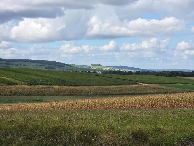 Terrain à bâtir à vendre à Sermiers 51500