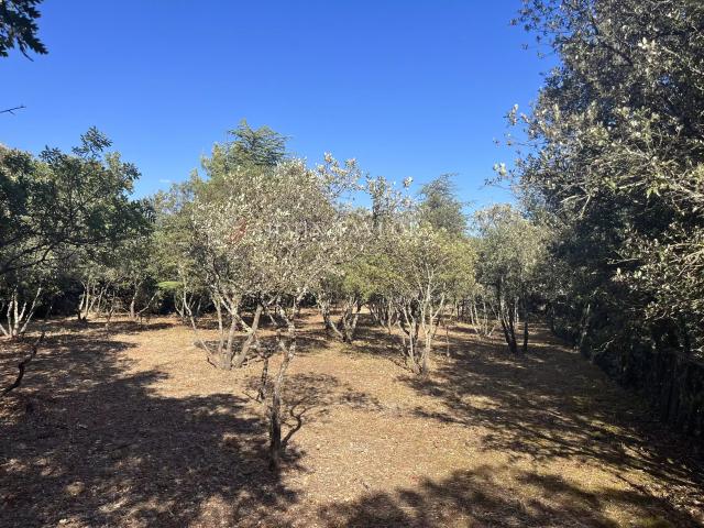 A vendre Terrain à bâtir à Cabrières d'Avignon