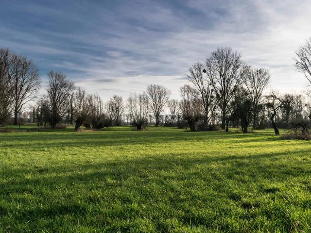 TERRAIN À BÂTIR À FAVRIEUX 78 – 1200 m²