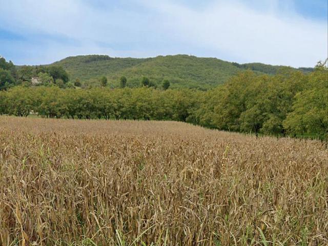 Terrain à bâtir à Lanzac