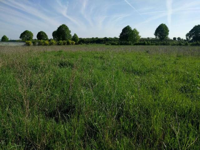 Terrain à bâtir à Moret Loing et Orvanne 77
