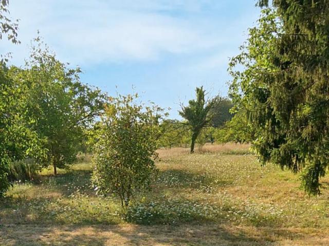 Terrain à bâtir à Saint Crépin et Carlucet