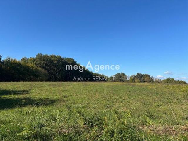 Terrain à bâtir à ST LEON SUR VEZERE 13 314 m²