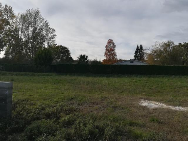 Terrain à bâtir à St Sulpice et Cameyrac