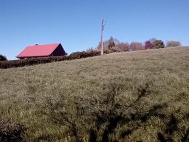 Terrain à bâtir – Cadre verdoyant – Proche Saint Omer