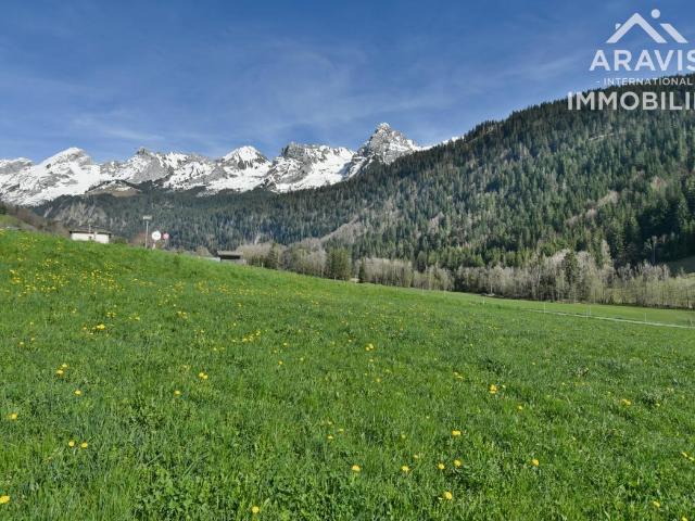 Terrain à bâtir avec beau potentiel