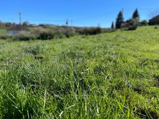 Terrain à bâtir avec environnement champêtre