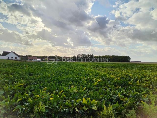 Terrain à batir dans un lotissement neuf sur Cauroy