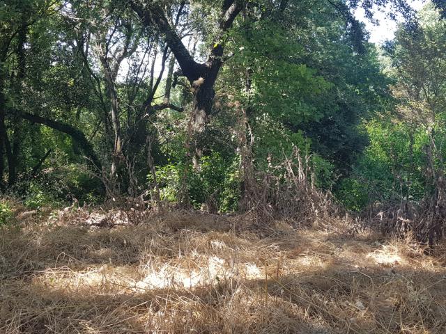 Terrain à bâtir dans environnement naturel et protégé