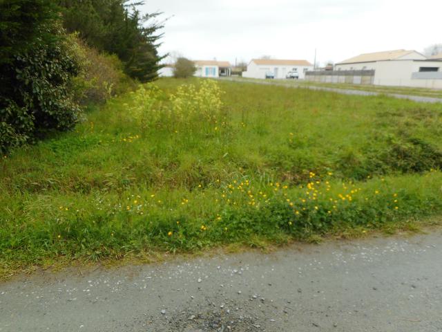 Terrain à bâtir de 1000 m2 à 700 m de la mer