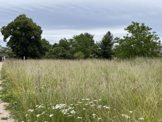 Terrain à bâtir de 1000 m² à CASTELNAU DE MEDOC 33