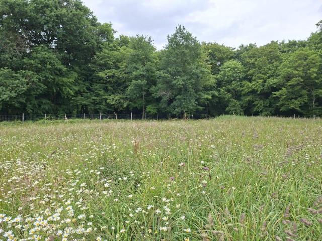 Terrain à bâtir de 1000 m² à BOULIAC 33