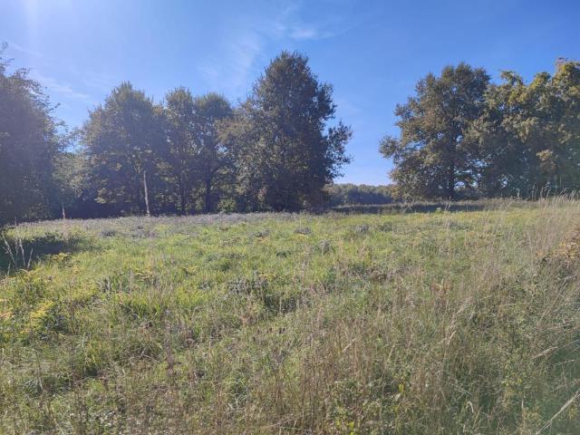Terrain à bâtir de 1480 m² à TABANAC 33