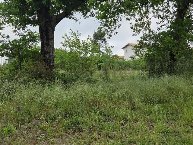 Terrain à bâtir de 1400 m² à PARENTIS EN BORN 40