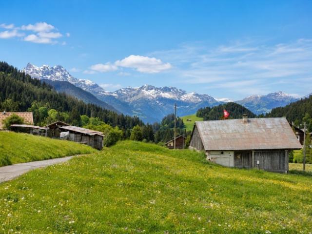 Terrain à bâtir de 1582 m² au centre des Mosses Ormont Dessous VD, Alpes vaudoises