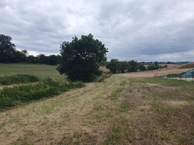 Terrain à bâtir de 1584 m² à DAMIATTE 81