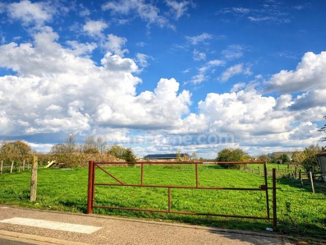 Terrain à bâtir de 1787,00 m² COUPELLE NEUVE 62