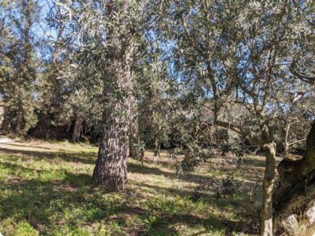 Terrain à bâtir de 1 348 m2, quartier résidentiel proximité du centre de Lorgues