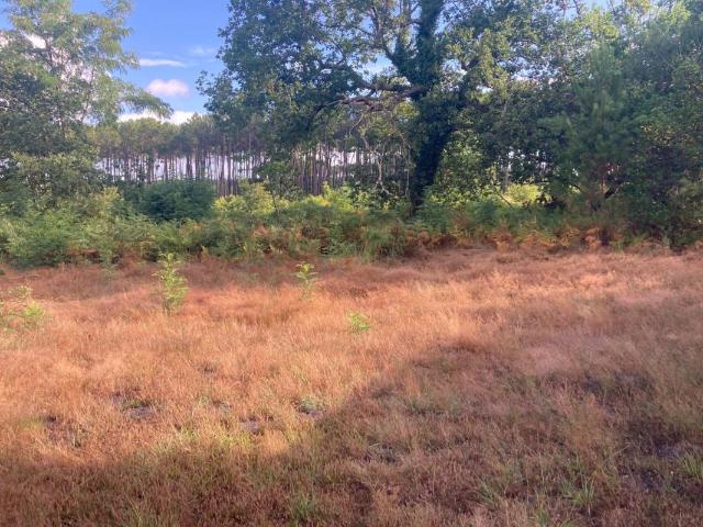 Terrain à bâtir de 500 m² à SALLES 33