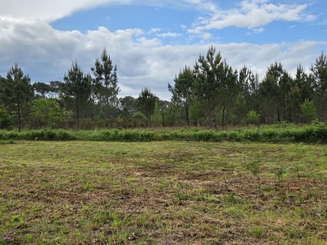 Terrain à bâtir de 518 m² à PARENTIS EN BORN 40
