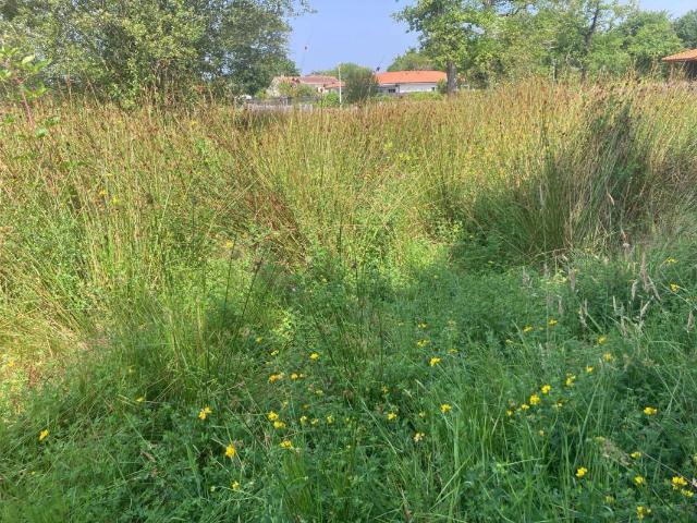 Terrain à bâtir de 530 m² à BISCARROSSE 40