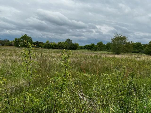 Terrain à bâtir de 545 m² à BRETX 31