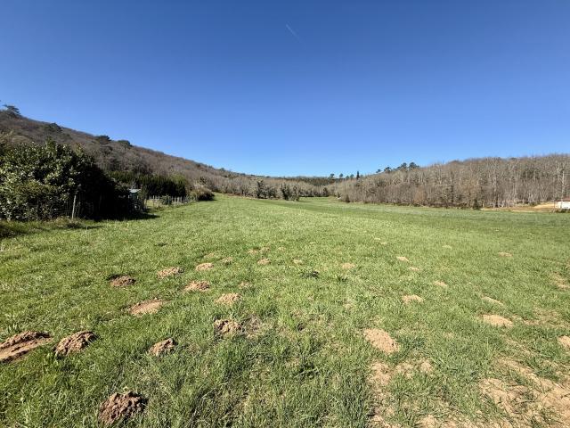 Terrain à bâtir de 5460m2