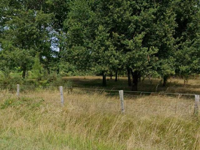 Terrain à bâtir de 600 m² à CESTAS 33