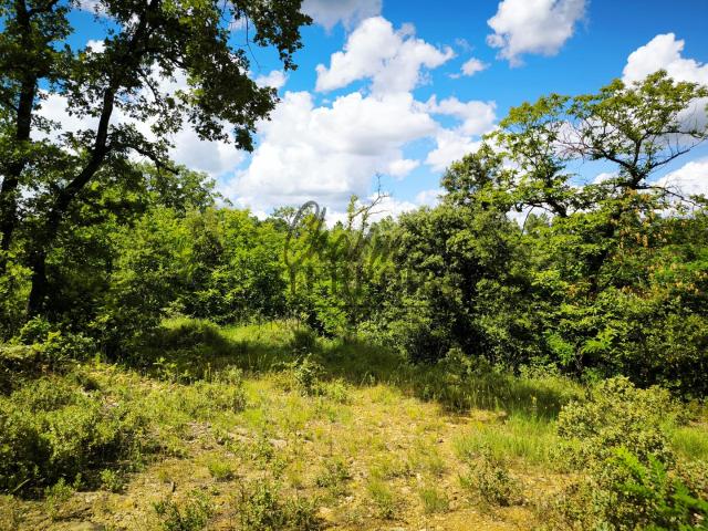 Terrain à bâtir de 7300m2 éligible au PTZ pour les primo accédants !