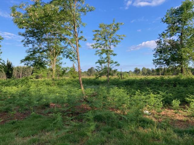 Terrain à bâtir de 750 m² à BISCARROSSE 40