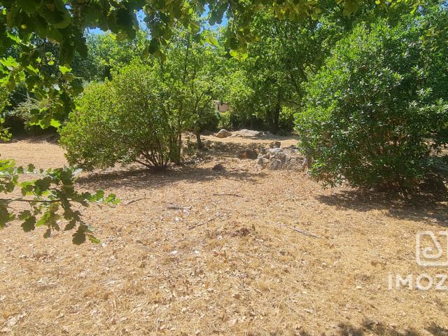 Terrain à batir de 981m2