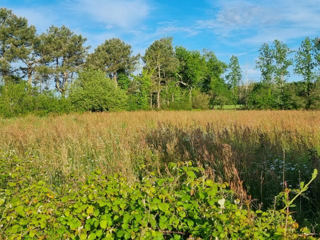 TERRAIN A BATIR HORS LOTISSEMENT