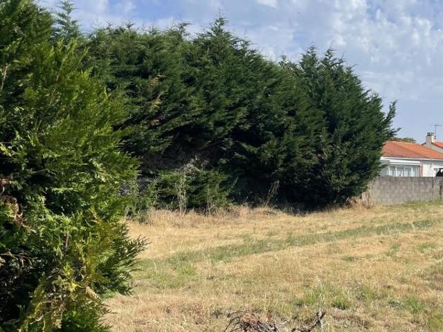 Terrain à Bâtir Les Sorinières