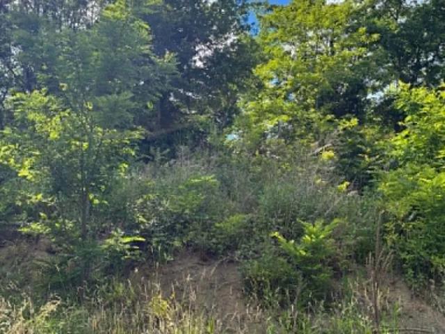 Terrain à bâtir libre de constructeur – 353 m² – Nohanent
