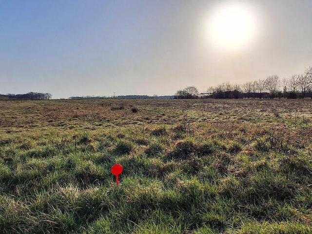Terrain à batir Soings en Sologne 6000 m²