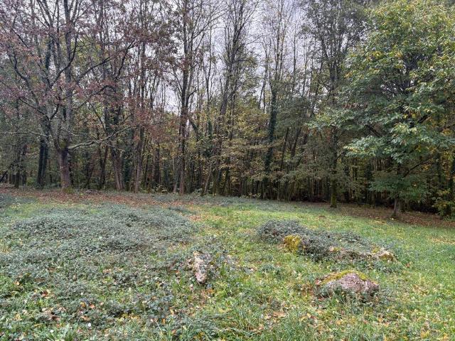 TERRAIN A BATIR SARLIAC SUR L ISLE