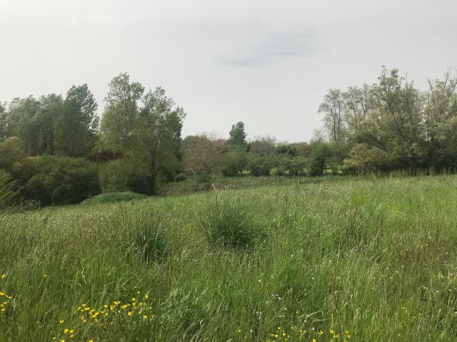 TERRAIN A BATIR PUYLAURENS