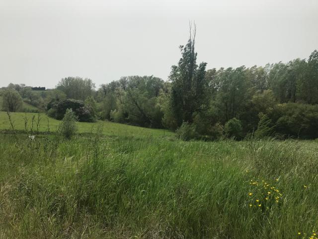 TERRAIN A BATIR PUYLAURENS