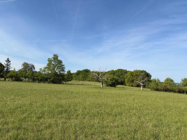 TERRAIN A BATIR VERTEILLAC